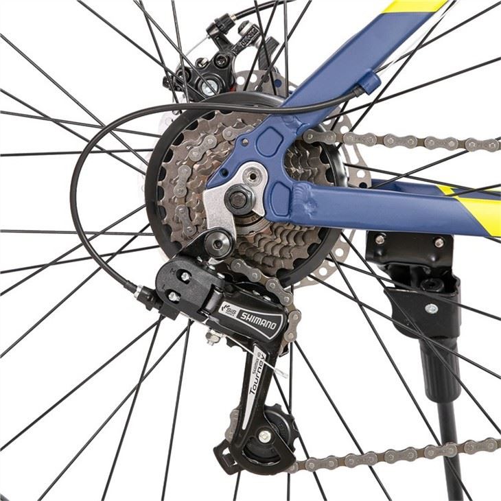 Customized Hardtail Mountain Bike